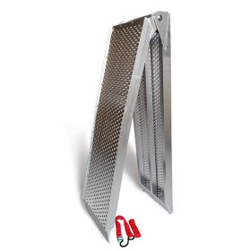 Thang dẫn xe máy (giá rẻ mới)